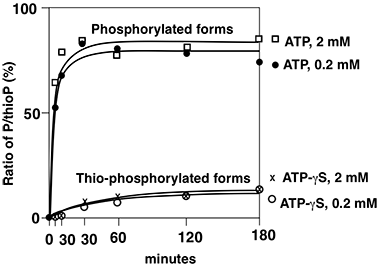 Abltide GST ATPgS graph